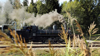 Waldviertelbahn, NÖ - Dampflokomotive