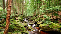 Bayerischer Wald, DE - Steinklamm in Spiegelau