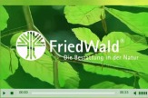 FriedWald-Video