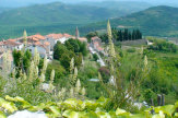 Motovun, Kroatien - Blick auf Ort / Zum Vergrößern auf das Bild klicken
