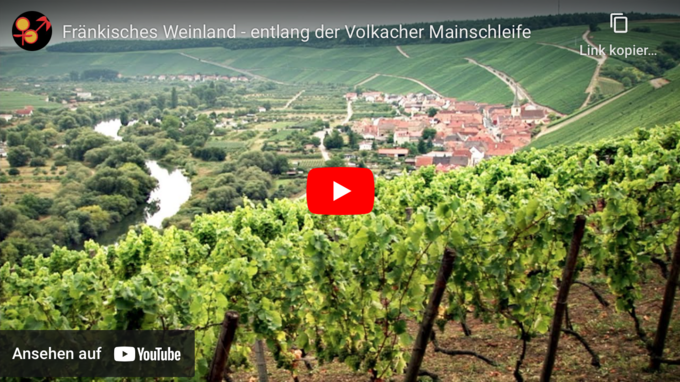 Bildschirmfoto zu Video Fränkisches Weinland - entlang der Volkacher Mainschleife