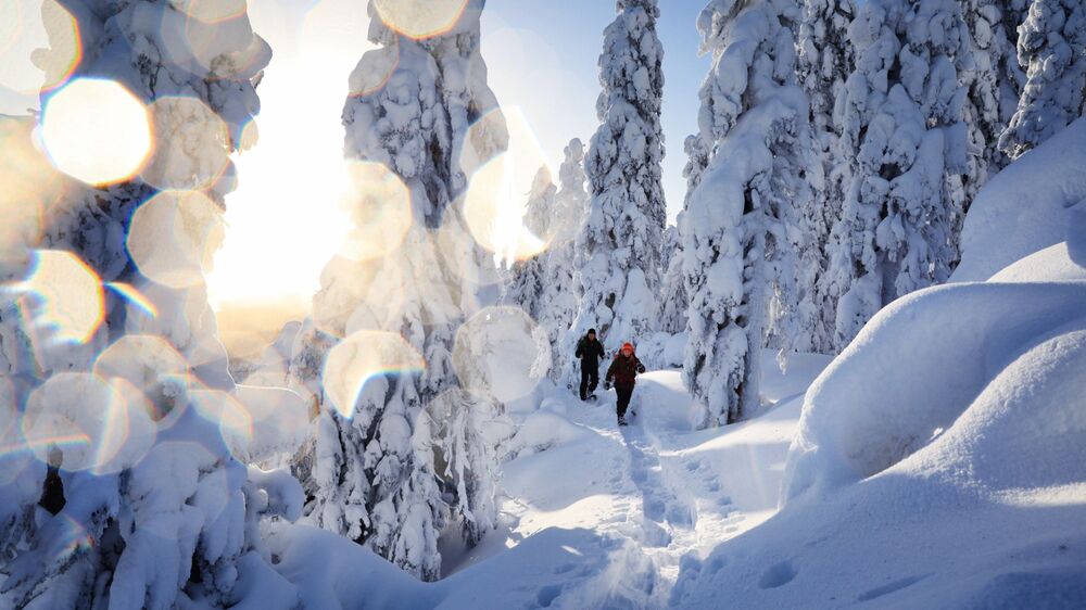 Karelia, Finnland - Cross Country Skiin