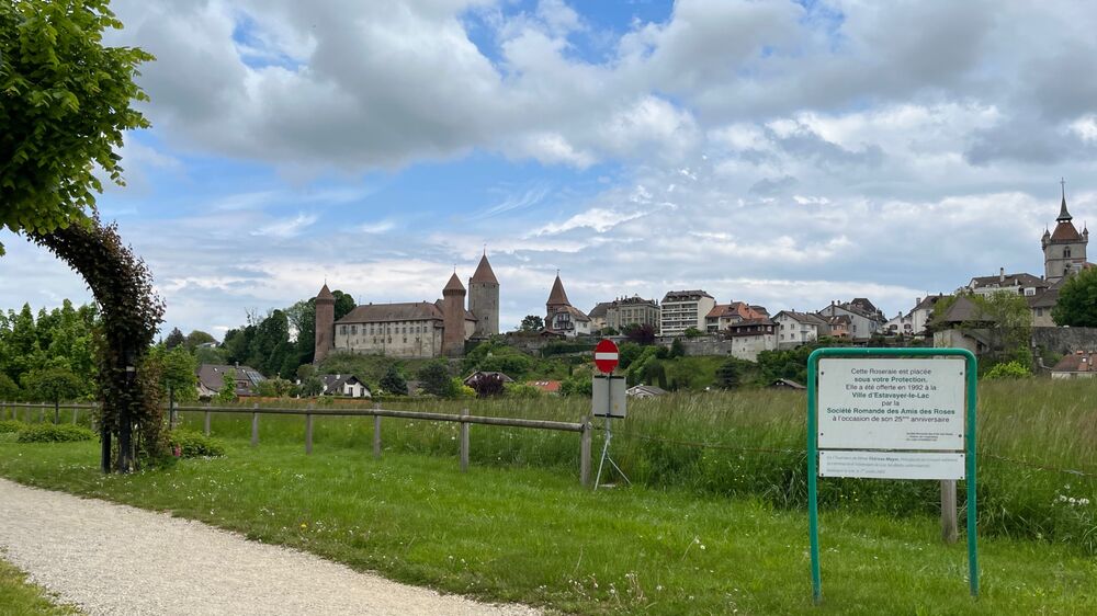 Estavayer - Blick auf das Schloss