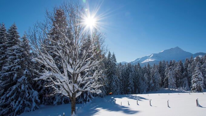St. Johann in Tirol - Sonniger Wintertag