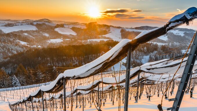 Südsteiermark - Winterliche Weingärten