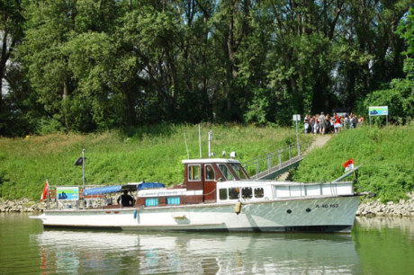 Bootsfahrt zu den Donau-Auen