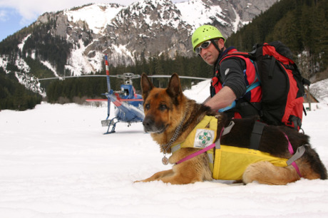 Lawinenrettung - Lawinenhund mit Hubschrauber