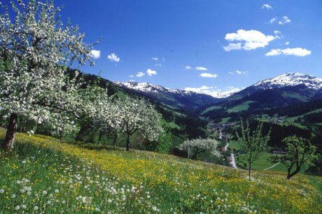 Wildschönau, Tirol - Berglandschaft