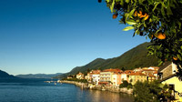 Lago Maggiore, Italien - Agrumi Cannero Riviera