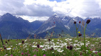 © Edith Spitzer, Wien / Alpen - Blick Richtung Dolomiten / Zum Vergrößern auf das Bild klicken