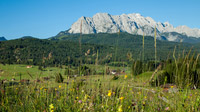 Zugspitz-Region, Bayern - Blühende Wiesen