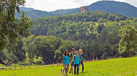 © WANDERarena Pfälzerwald-Nordvogesen / H. Kröher / Pfälzerwald-Nordvogesen, DE - Burgenweg / Zum Vergrößern auf das Bild klicken
