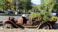 © Anita Arneitz / Chena-River, Alaska - Alter Wagen / Zum Vergrößern auf das Bild klicken