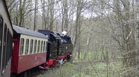 © Edith Spitzer, Wien / Harzer-Schmalspurbahn - Impressionen / Zum Vergrößern auf das Bild klicken