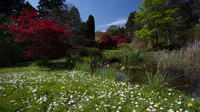 © Anita Arneitz & Matthias Eichinger / Mount Usher Gardens, Nordirland_13 / Zum Vergrößern auf das Bild klicken