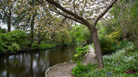© Anita Arneitz & Matthias Eichinger / Mount Usher Gardens, Nordirland_7 / Zum Vergrößern auf das Bild klicken