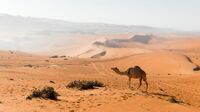 Oman, Wüste