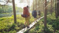 Finnland - Repovesi Nationalpark   Aku Po  lla  nen
