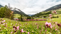 © Rhätische Bahn / Andrea Badrutt / RhB - Graubünden Rundfahrt / Zum Vergrößern auf das Bild klicken