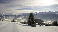 © www.foto-mueller.com / Serfaus Fiss Ladis - Winterlandschaft / Zum Vergrößern auf das Bild klicken