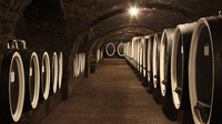 © Kroatische Zentrale für Tourismus / Wine basement Kutjevo / Zum Vergrößern auf das Bild klicken