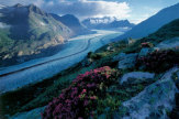 Aletschgletscher, Schweiz / Zum Vergrößern auf das Bild klicken