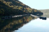 Austernzucht am Limski Kanal, Istrien, Kroatien