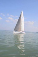 Balaton, Ungarn - Segelboot / Zum Vergrößern auf das Bild klicken