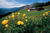 Bartholomäberg, Vorarlberg - Rellseck im Montafon / Zum Vergrößern auf das Bild klicken