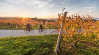 © Jost Gantar / Bela Krajina, Slo - Biking / Zum Vergrößern auf das Bild klicken