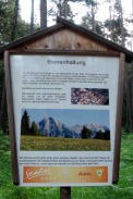 Bienenlehrpfad Reith, Tirol - Schautafel / Zum Vergrößern auf das Bild klicken