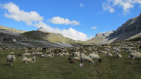 © Schwyz Tourismus / Bisisthal, Schweiz / Zum Vergrößern auf das Bild klicken