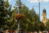 Debrecen, Ungarn - Baumallee auf der Hauptstraße / Zum Vergrößern auf das Bild klicken