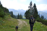 Foto © Flora Jädicke / Wandern mit Hund, Tannheimer Tal / Zum Vergrößern auf das Bild klicken