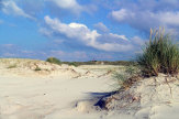 Nordsee, DE - Dünen auf Amrum / Zum Vergrößern auf das Bild klicken