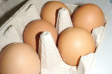 Rohe Eier im Karton / Zum Vergrößern auf das Bild klicken