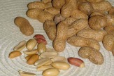 Erdnüsse 2