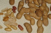 Erdnüsse, geschält / Zum Vergrößern auf das Bild klicken