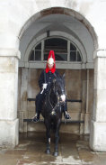Horse Guards in London, GB / Zum Vergrößern auf das Bild klicken