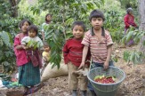 Guatemala, Mittelamerika - Indianerkinder / Zum Vergrößern auf das Bild klicken
