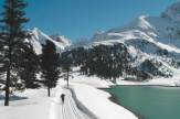 Kühtal, Tirol - Langlaufen / Zum Vergrößern auf das Bild klicken