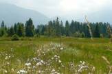Entlebuch, Schweiz - Biosphärenpark: Moorlandschaft