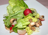 Salat mit Radieschen / Zum Vergrößern auf das Bild klicken