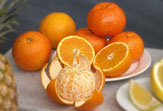 55PLUS - Obst: Orangen