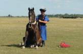 Hortobázy, ungarische Puszta - Sitzendes Pferd / Zum Vergrößern auf das Bild klicken