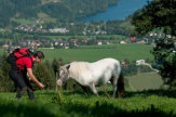 © Region Villach / Afritzer See, Region Villach in Kärnten
