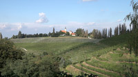 Der berühmte Weinberg von Jeruzalem, Slowenien
