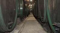 Tiefe Gänge und Fässer im Weinkeller Ptuj, Slowenien