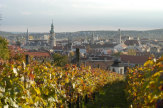 © Sopron Tourinform / Sopron, Ungarn - Weinreben / Zum Vergrößern auf das Bild klicken