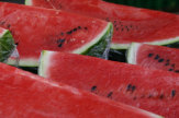 Wassermelonen (Detail) / Zum Vergrößern auf das Bild klicken